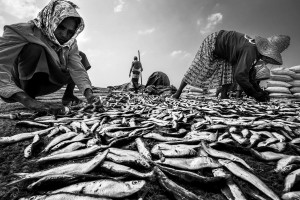 norbert oksza strzelecki fb